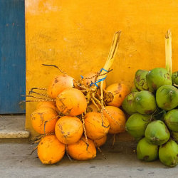 cartagenacolours